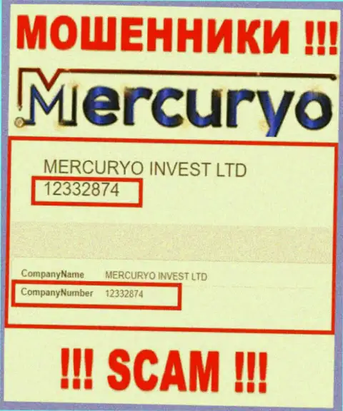 Номер регистрации жульнической компании Меркурио Ко - 12332874