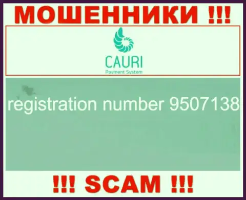Регистрационный номер, который принадлежит неправомерно действующей организации Каури Ком: 9507138