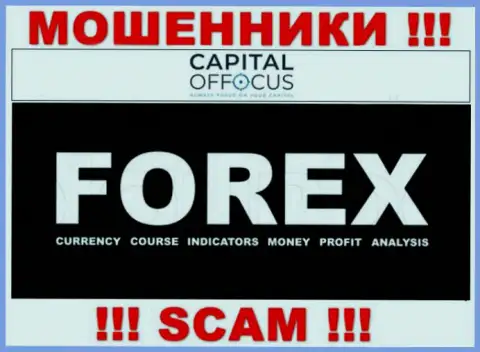 С организацией CapitalOfFocus Com совместно сотрудничать довольно опасно, их направление деятельности FOREX - это разводняк