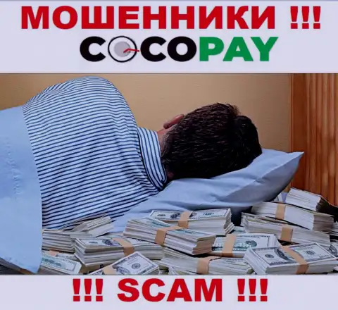 Вы не вернете денежные средства, инвестированные в компанию Coco Pay - интернет жулики ! У них нет регулятора