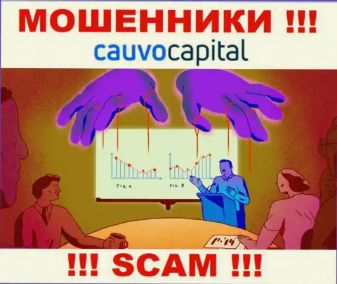 Рискованно соглашаться совместно работать с интернет мошенниками CauvoCapital, присваивают финансовые вложения
