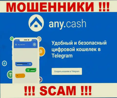AnyCash - аферисты, их работа - Цифровой кошелёк, направлена на отжатие денежных вкладов наивных людей