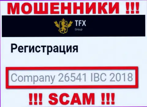 Регистрационный номер, принадлежащий незаконно действующей конторе TFX Group: 26541 IBC 2018