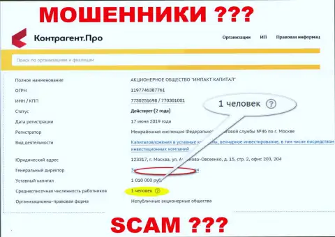 Средняя численность работников Импакт Капитал