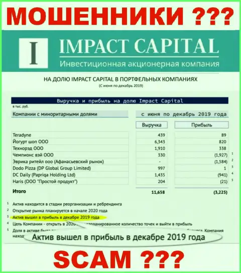 На веб-сервисе ImpactCapital Com рисуют доход компании ???