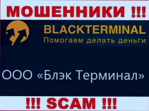 На официальном интернет-портале BlackTerminal Ru сообщается, что юр лицо компании - ООО Блэк Терминал