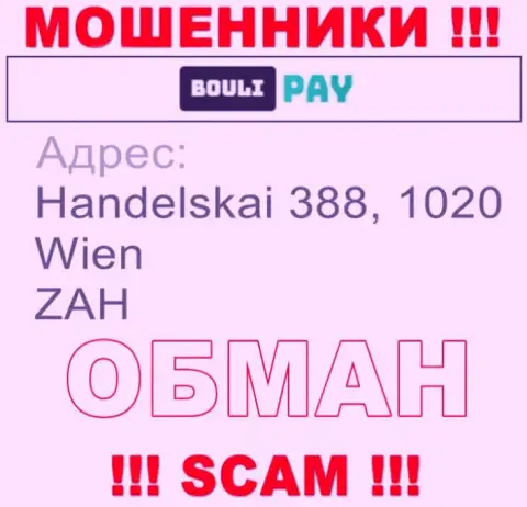 Организация Bouli Pay засветила фейковый адрес у себя на официальном интернет-сервисе