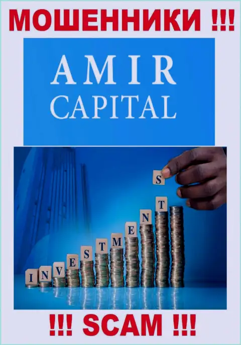 Не отдавайте кровно нажитые в Амир Капитал, тип деятельности которых - Инвестиции