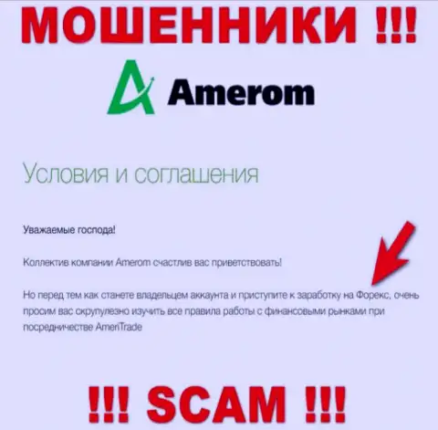 Не рекомендуем доверять финансовые средства Amerom De, т.к. их область деятельности, Forex, обман