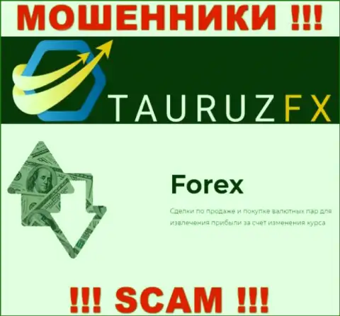 Forex - это то, чем промышляют интернет воры ТаурузФХ Ком