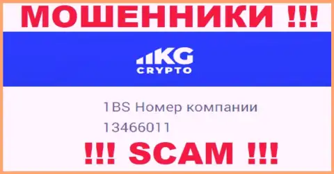 Номер регистрации компании CryptoKG, Inc, в которую средства рекомендуем не вводить: 13466011