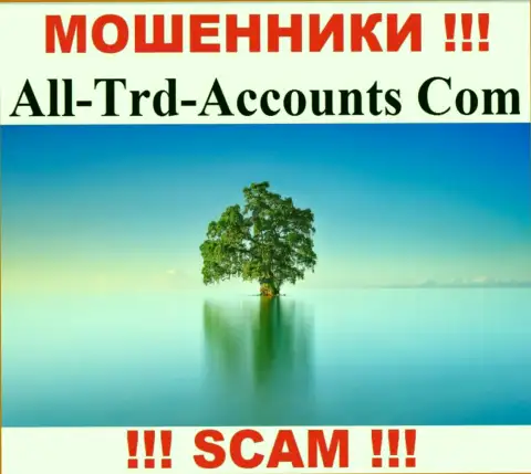 All-Trd-Accounts Com крадут денежные вложения и остаются без наказания - они скрыли сведения об юрисдикции