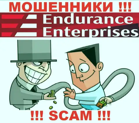 Дохода с ДЦ Endurance Enterprises Вы не увидите - довольно опасно вводить дополнительно финансовые активы