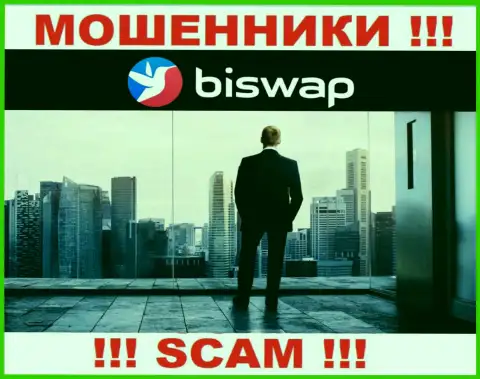 Кто же руководит интернет-мошенниками BiSwap неясно