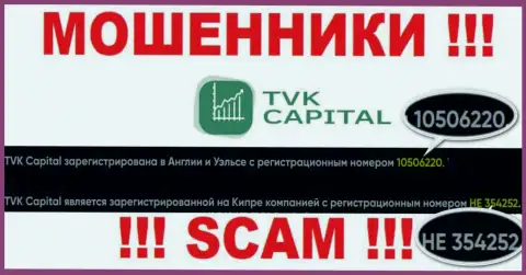 Будьте очень внимательны, наличие номера регистрации у компании TVK Capital (10506220) может быть ловушкой