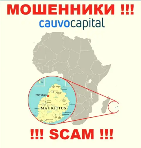 Компания Cauvo Capital сливает денежные активы людей, зарегистрировавшись в оффшоре - Маврикий