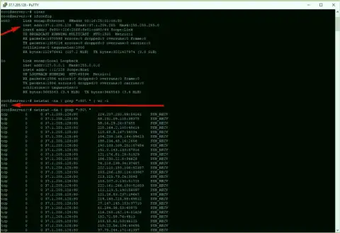 Подтверждение ДДоС атаки на сервер maximarkets.pro